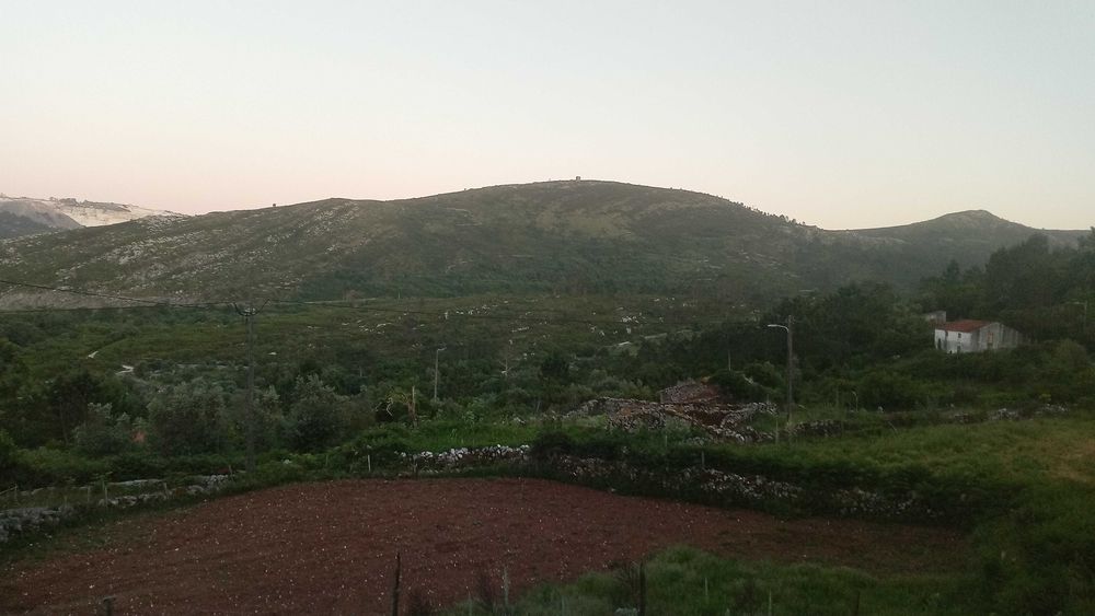 Aluga-se moradia Rural