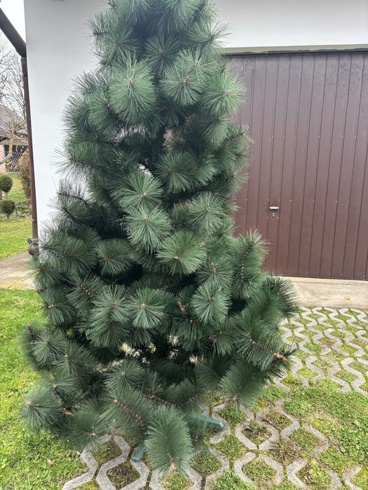 Sztuczna choinka sosna