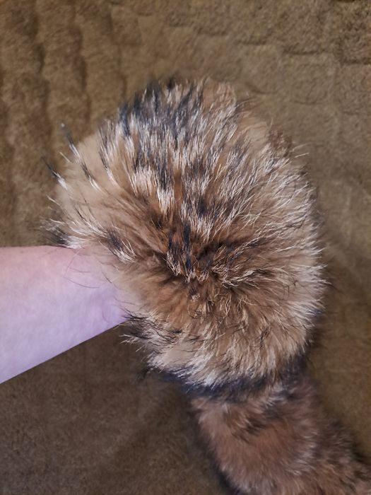 Меховой воротник енот натуральный мех  опушка  хутро комир