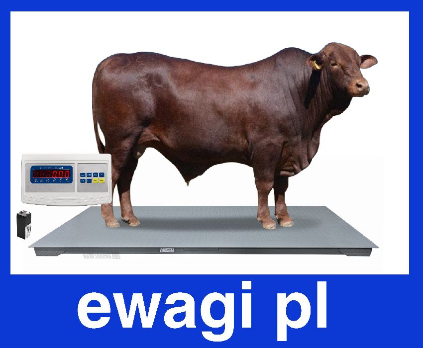 Waga do zwierząt bydła inwentarzowa rolnicza 1,2x2,2 3t 3000kg