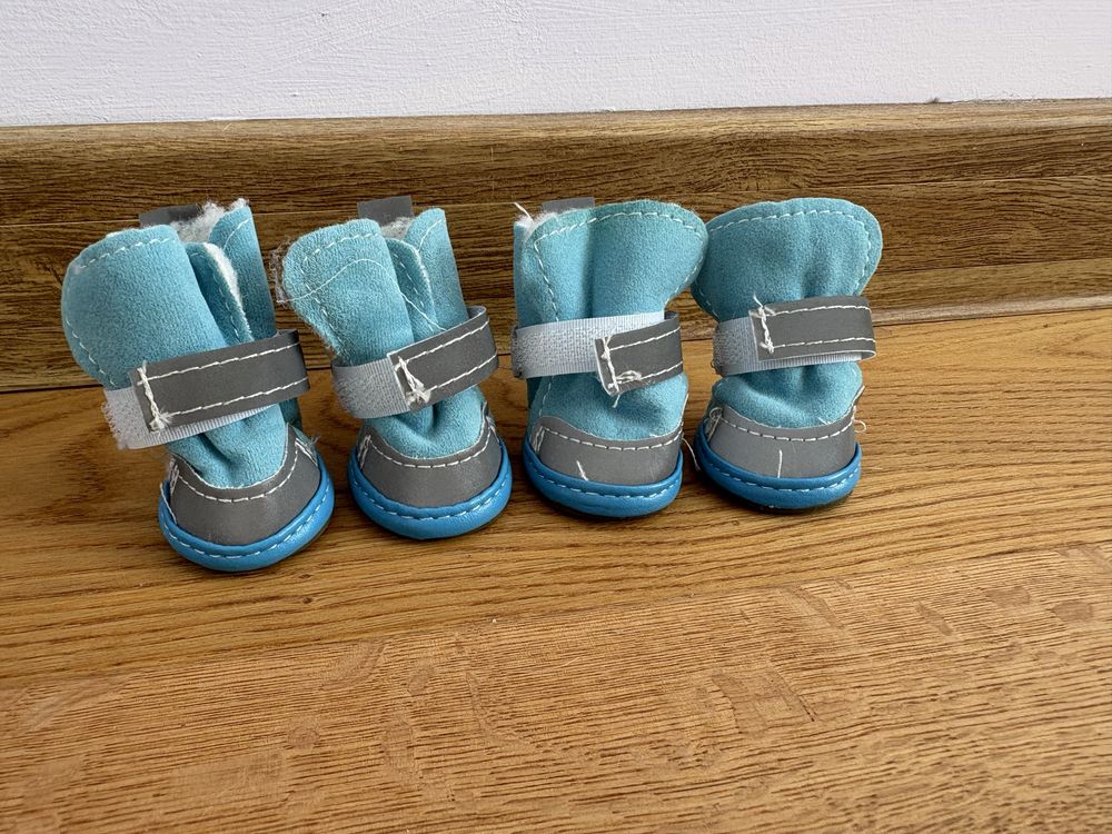 Buty zimowe dla psa