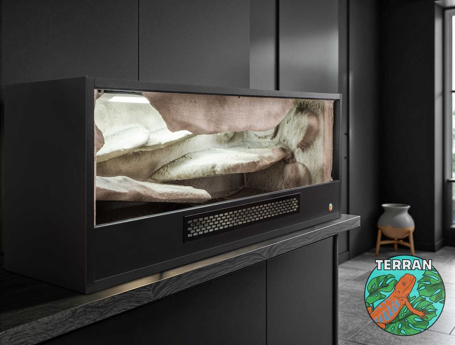 Terrarium 80x40x40cm Agama Gekon wąż zbożowy heterodon