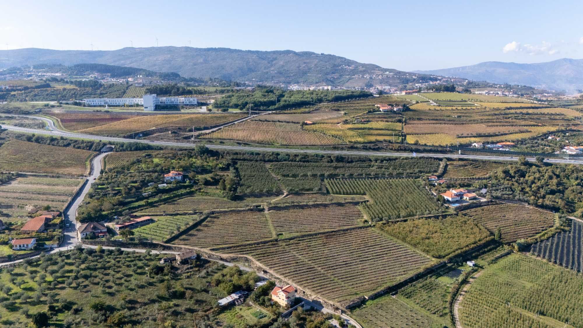 Quinta da Varanda em Lamego
