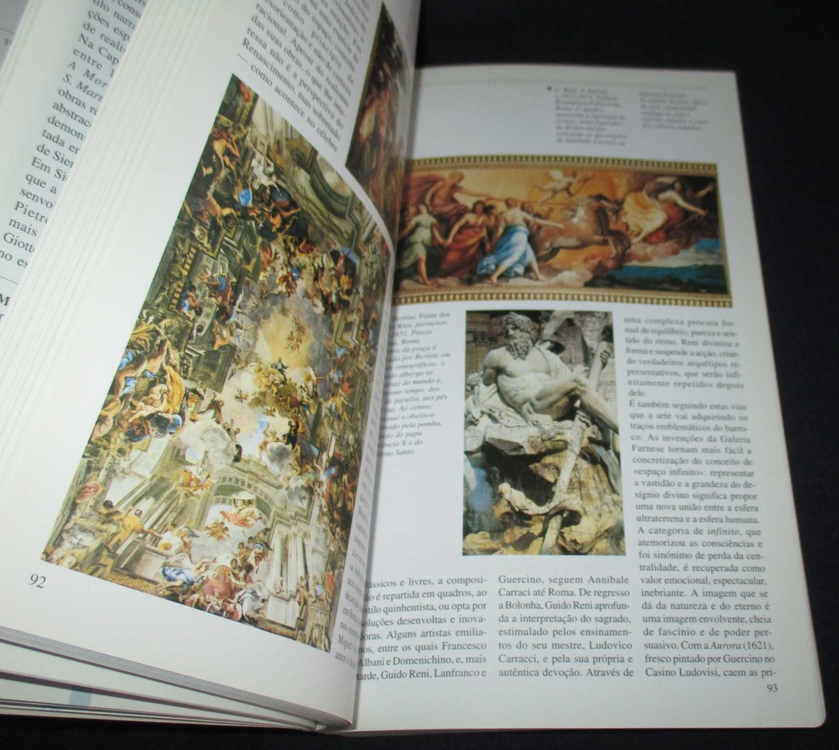 Livro Guia de História da Arte Sandro Sproccati