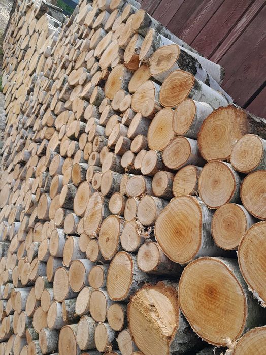 Drewno kominkowe brzoza