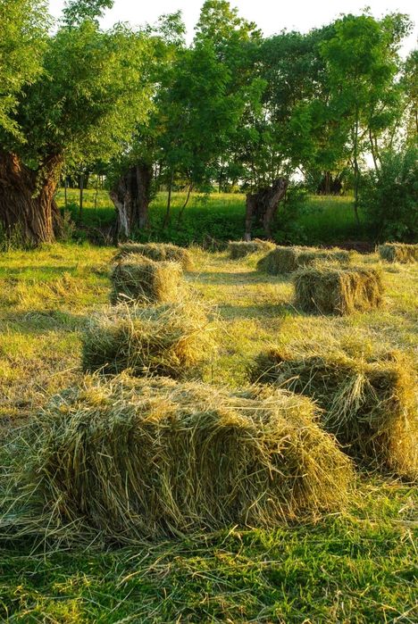 Sprzedam siano kostka