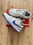 Nike Dunk Low Retro