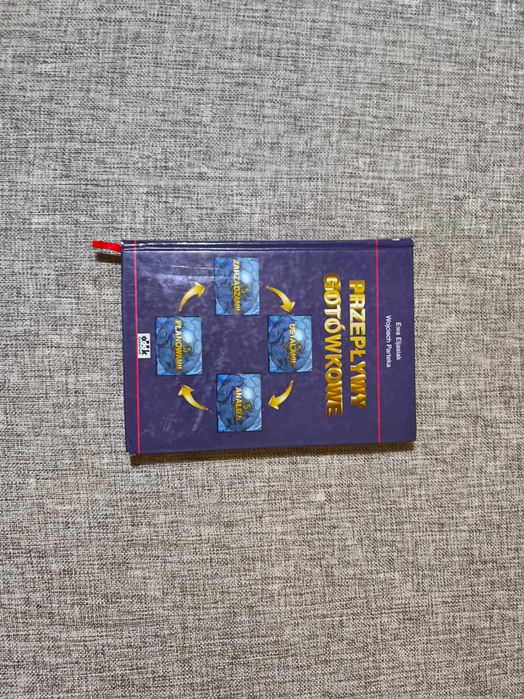 Przepływy gotówkowe - Ewa Eljasiak Parteka