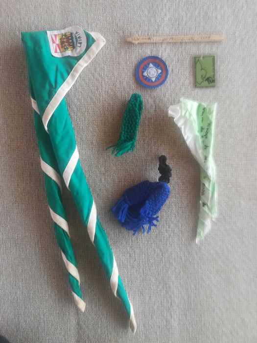 Insígnia Distintivo Emblema Circular azul oficial Escuteiros CNE