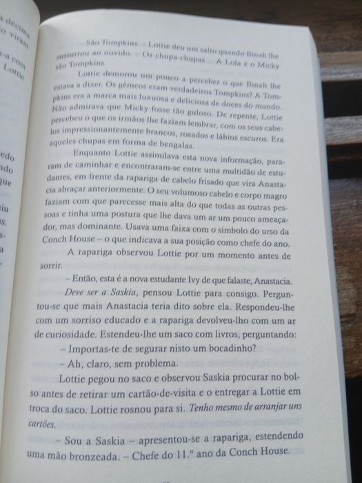A Guardiã da Princesa