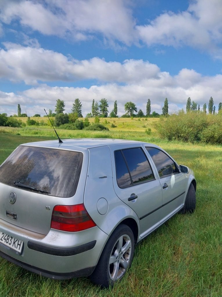 Volkswagen  Colf 4