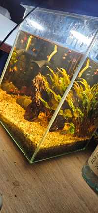 Akwarium rybki filtr akcesoria