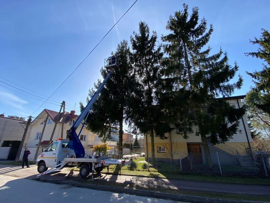 Pielęgnacja, wycinka drzew, podnośnik koszowy, czyszczenie działek
