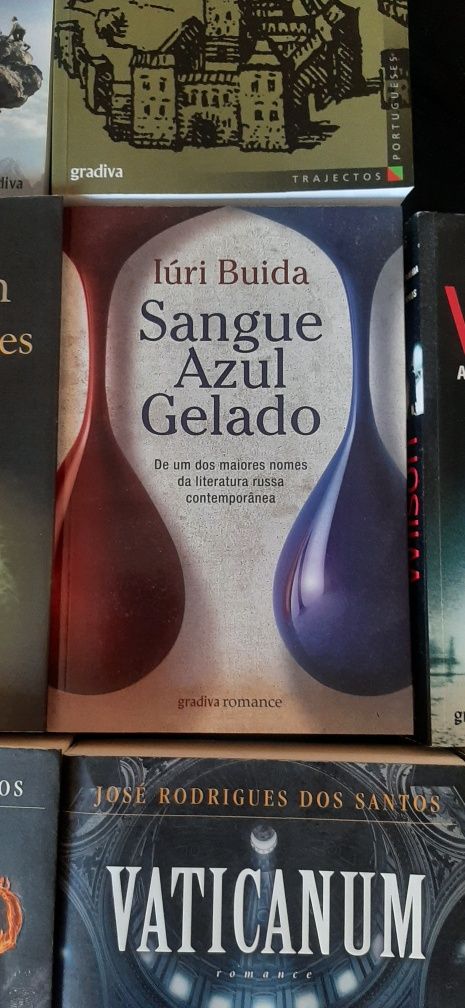 Livros em bom estado (Romances, Biografias e Ensaios)