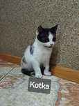 Oddam w dobre ręce