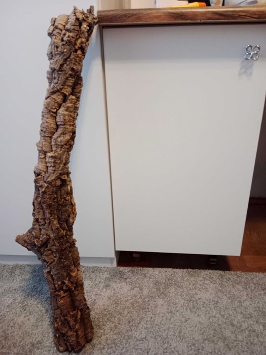 Tuba korkowa do terrarium 80x10 dąb korkowy