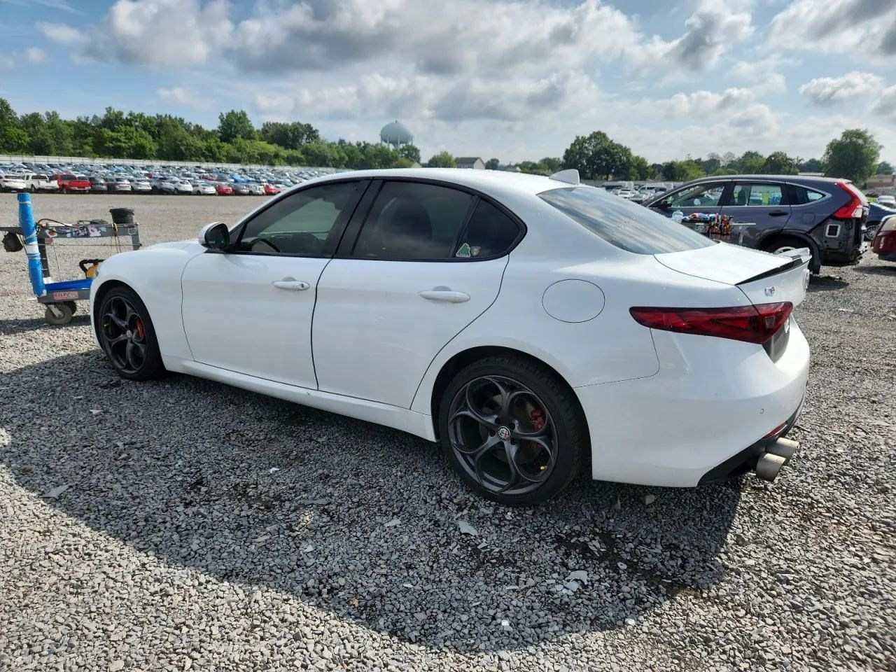 Alfa Romeo Giulia Piękny sedan z małym przebiegiem w transporcie