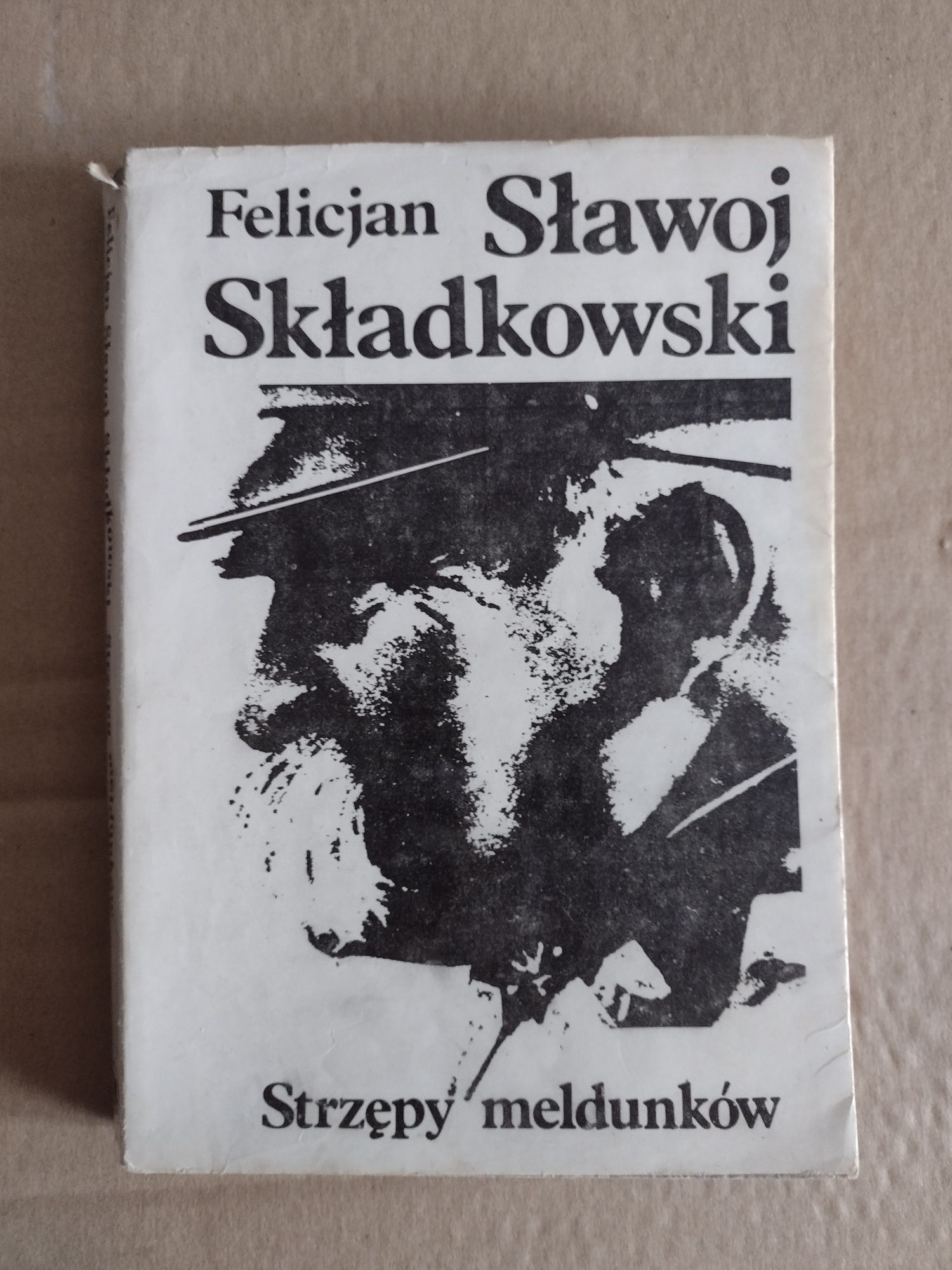 Felicjan Sławoj Składkowski - Strzępy meldunków