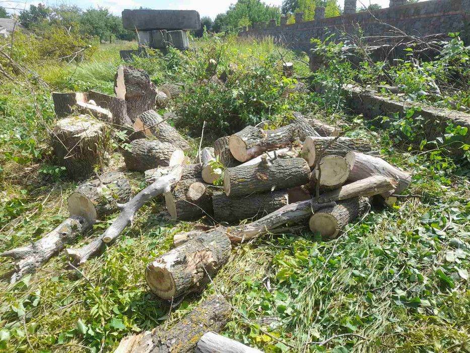 Благоустрий работы на участке  обрезка спил деревьев розчистка корчева