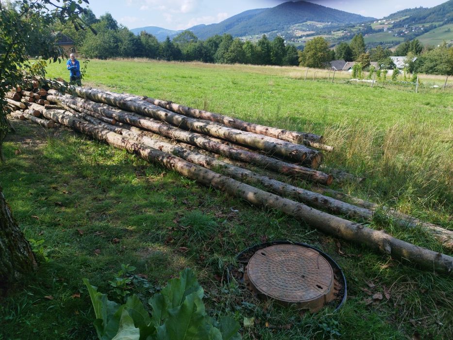 Drzewo do obróbki i na opał