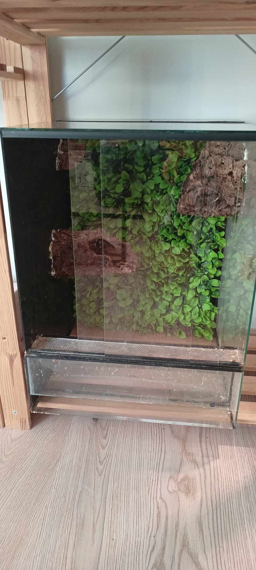 Terrarium 45*45*60 lub zamiana