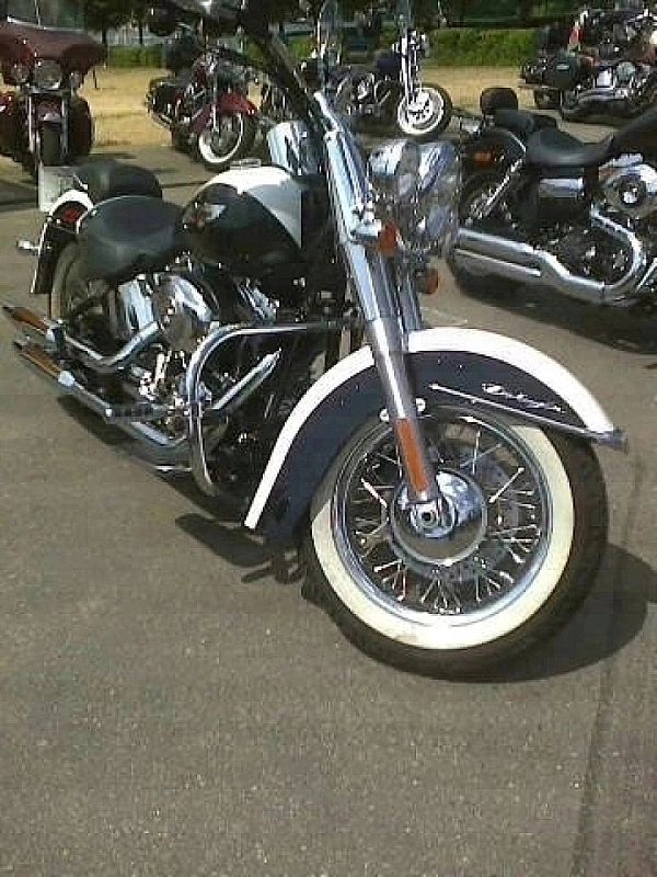 Gmole Przednie Harley Softail Chrom