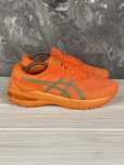 Кросівки asics gt-2000 10 lite-show 42.5/27 см