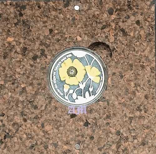 Portugal Moeda 5€ Alcar do Algarve Prata Proof