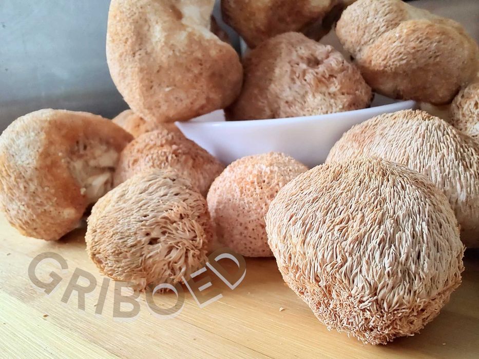 200 грамм - Ежевик гребенчатый. Сухой, в целом виде. ЛУЧШИЙ РЕЗУЛЬТАТ!