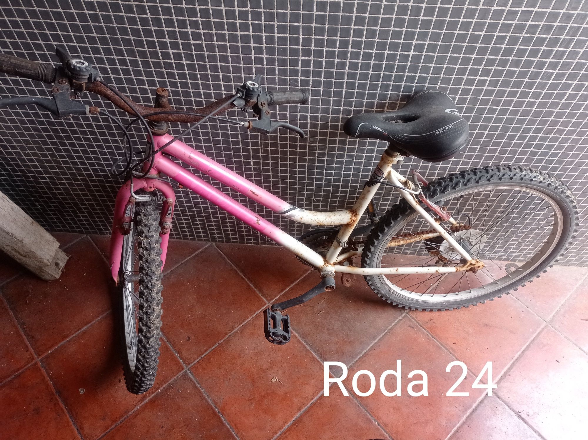 Bicicleta para recuperar