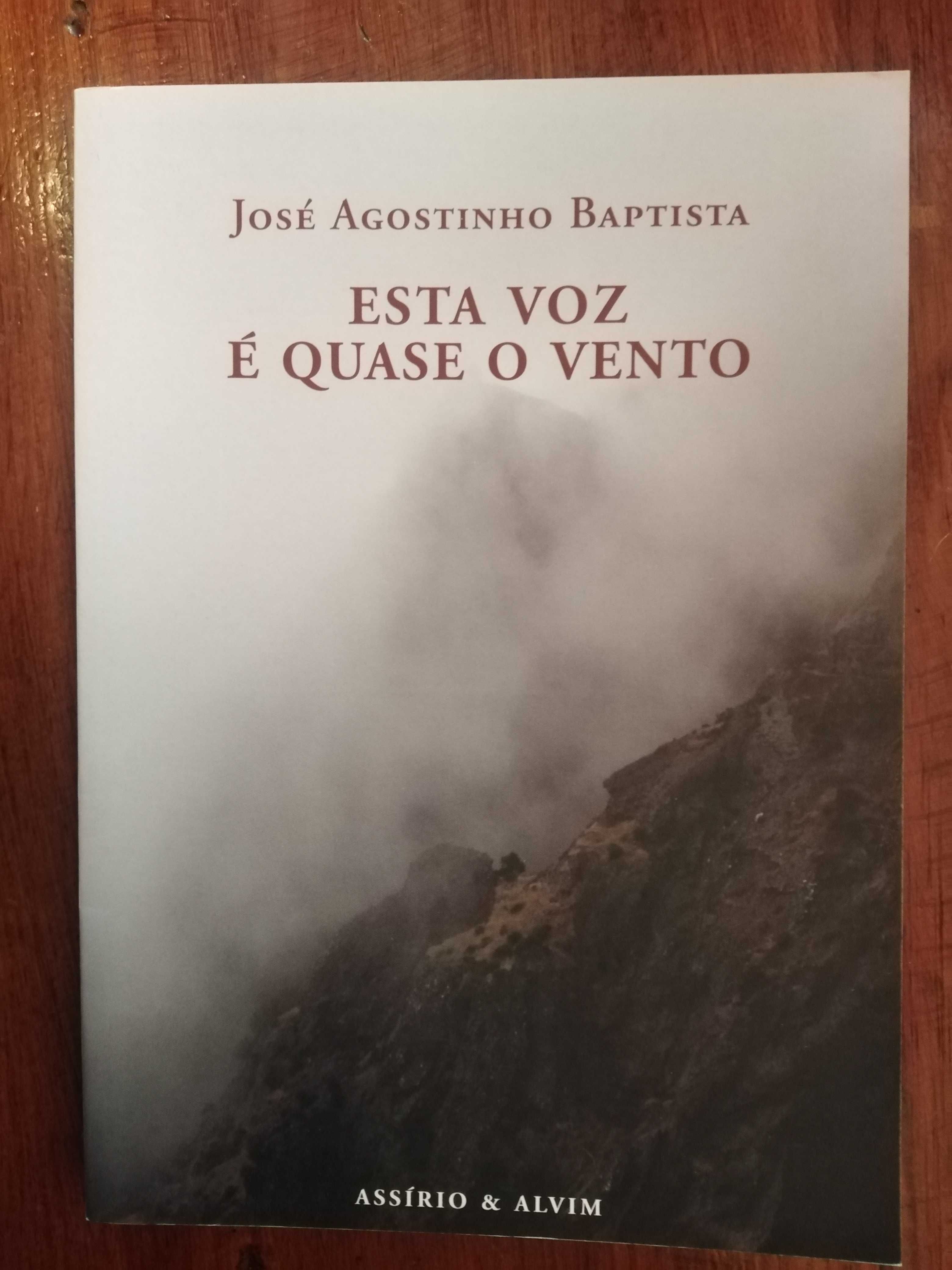 José Agostinho Baptista - Esta voz é quase vento