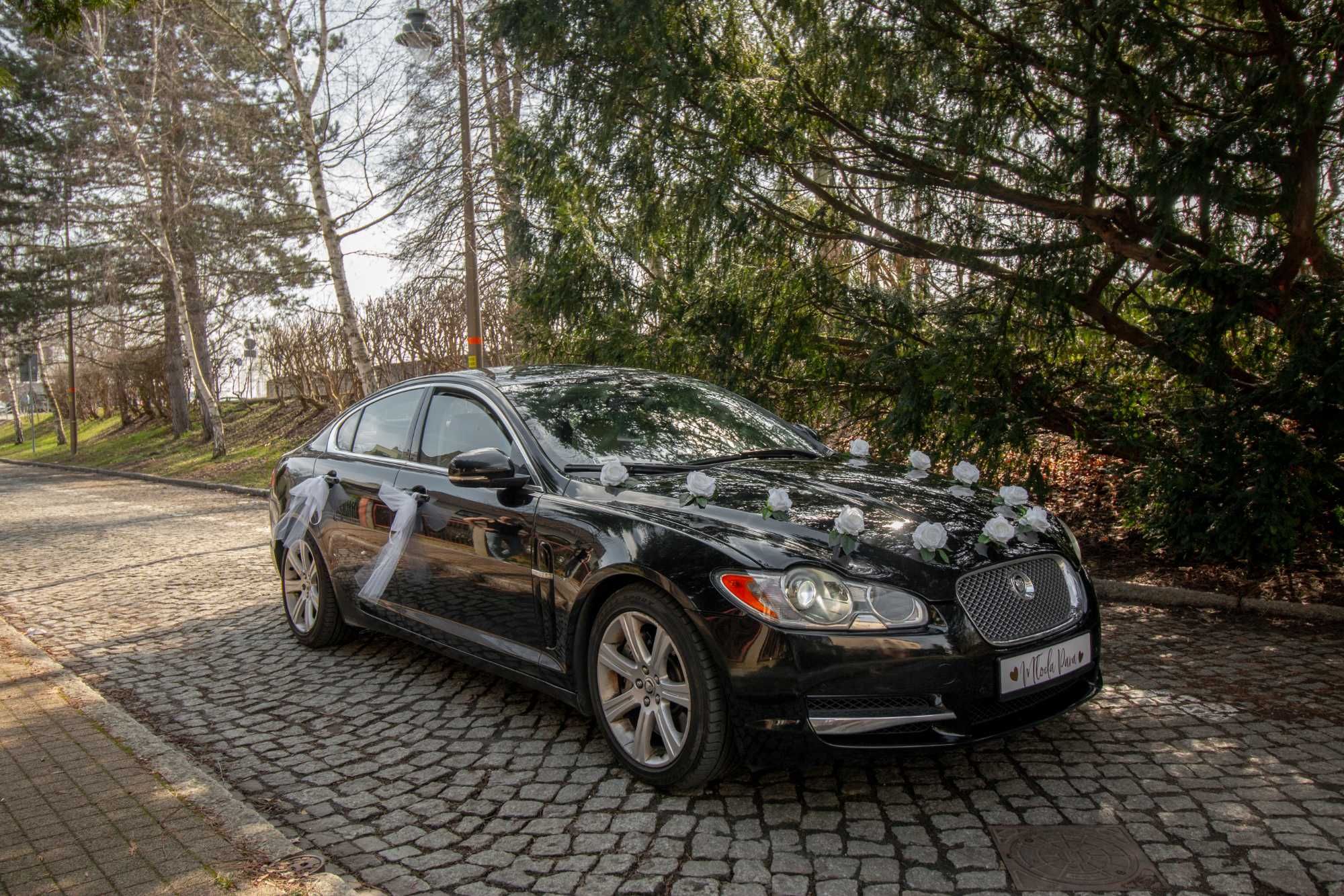 Jaguar XF S do ślubu oraz inne okazje [WOLNE TERMINY NA SEZON 2024]