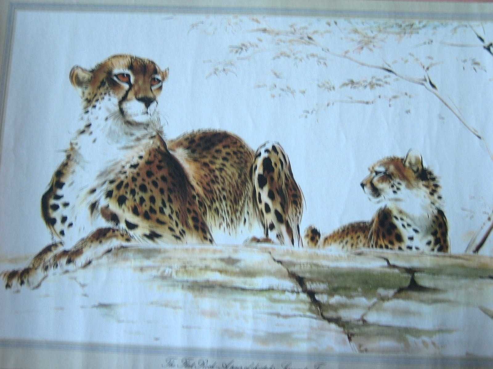 Duas estampas de animais selvagens