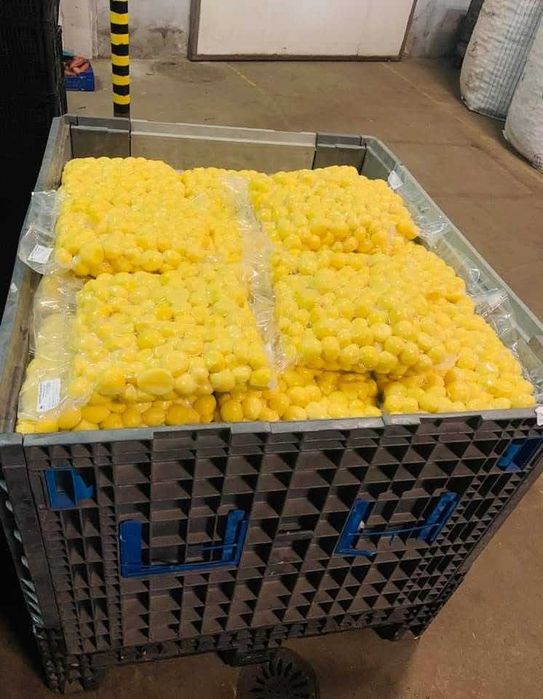 ziemniaki obrane i warzywa obrane od producenta