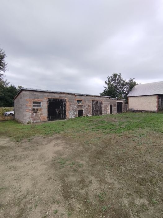 Nieruchomość z potencjałem Duża działka  Dom z Budynkami Rośle!