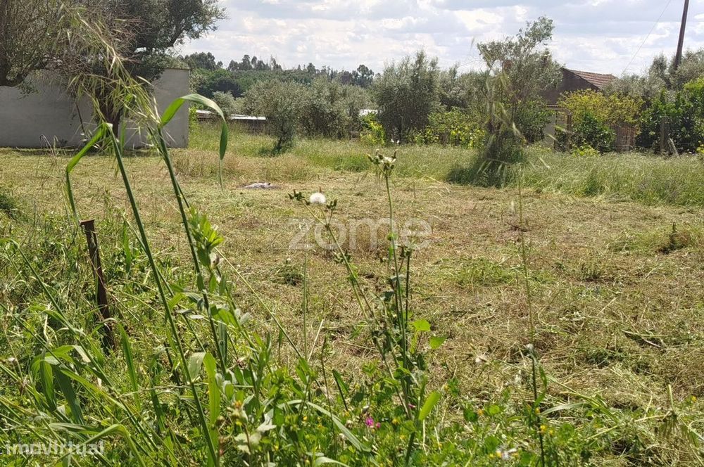 Moradia, Carregal do Sal