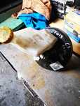CITROËN C3 2011 HDI SERVO FREIO SF013