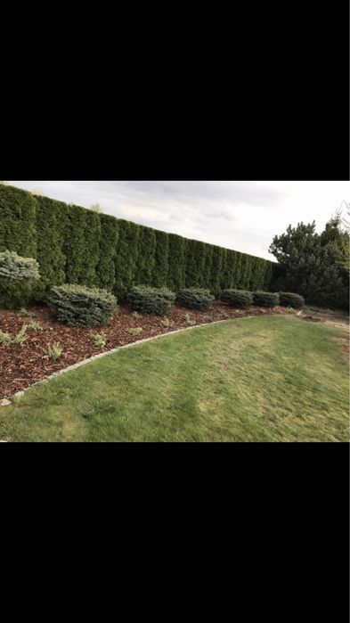 Uslugi ogrodnicze, koszenie trawy, ciecie zywopłotów, wycinka drzew