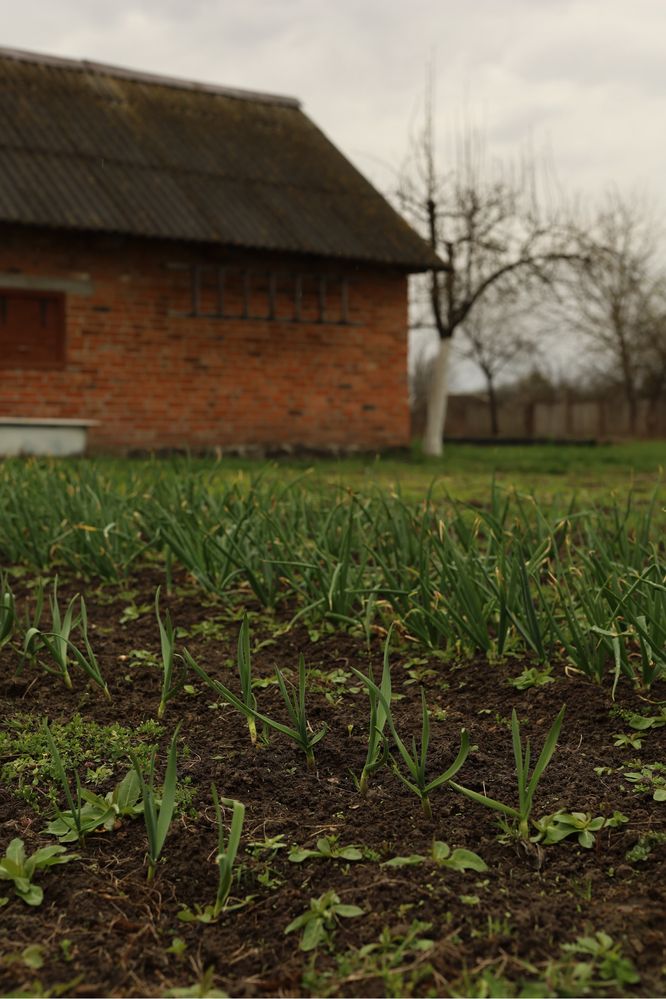 Продам затишний будинок неподалік від Києва