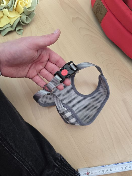 Buda mata szelki dla psa , maltańczyk naltipoo  shih tzu