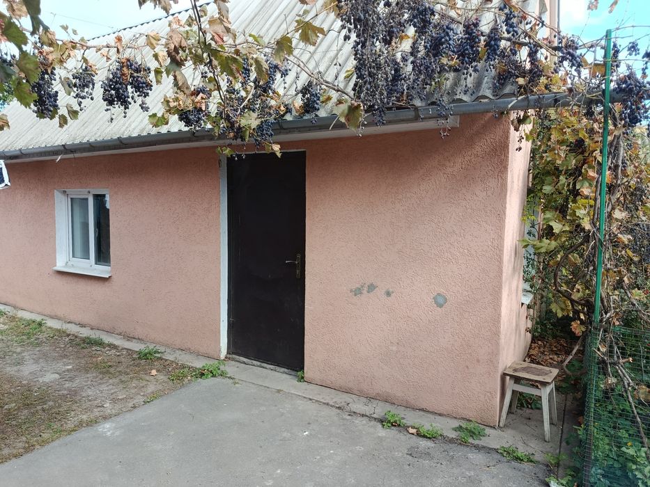 Продам будинок в м. Знам'янка