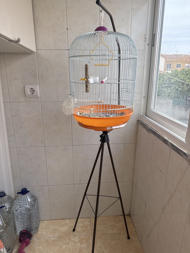 Gaiola para passaro