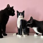 Tuxedo Cat Kot LEGO Ideas 21349