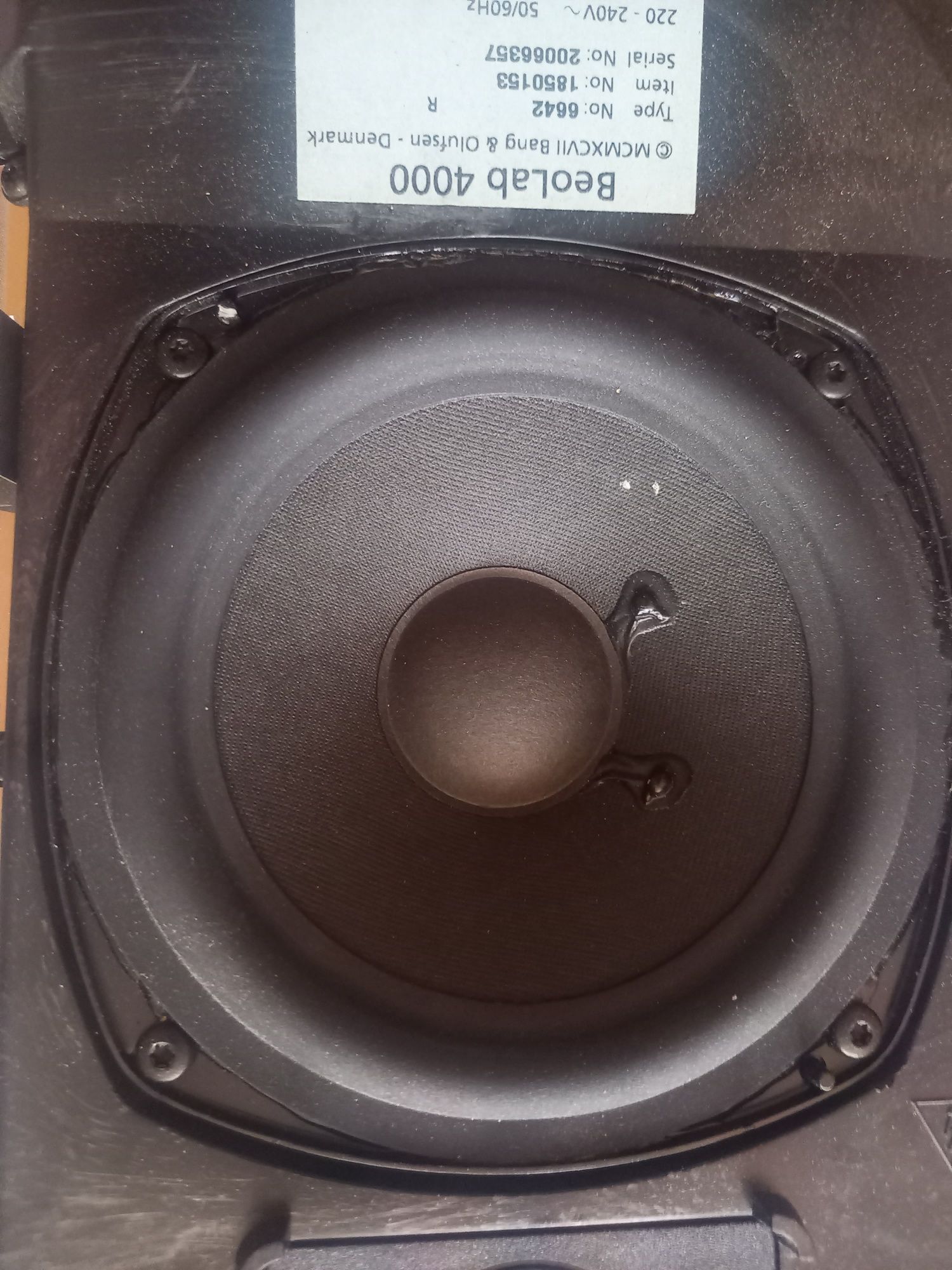 Kolumna aktywna BeoLab 4000