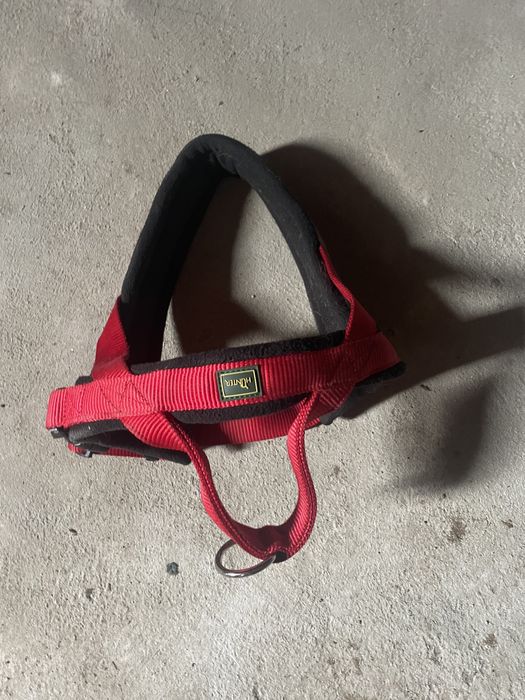 Peitoral / coleira hunter