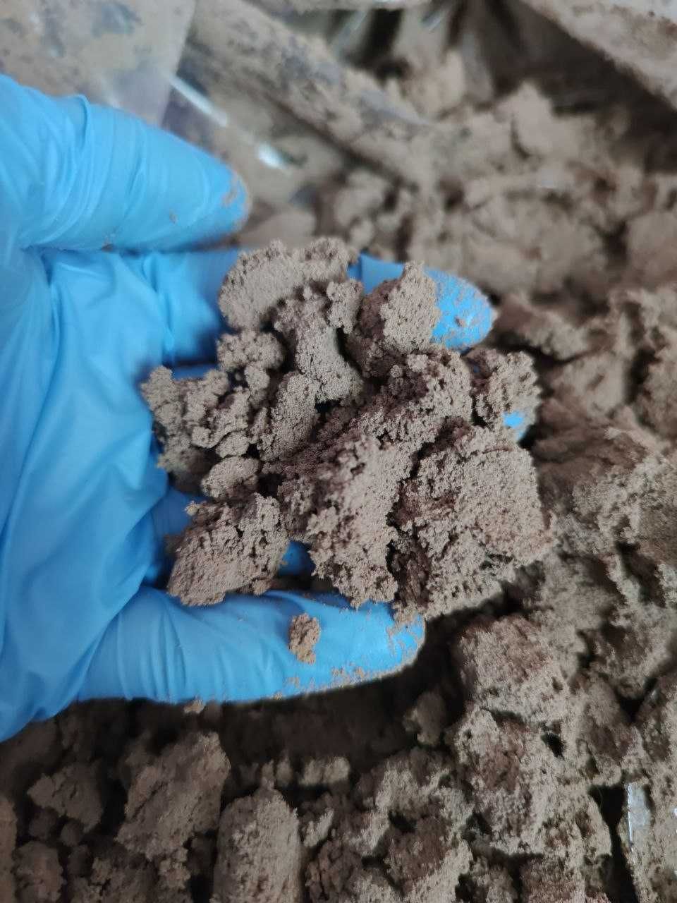 Sprzedam mokre jaja artemii.Produkcja 80% / 1kg / Główna /