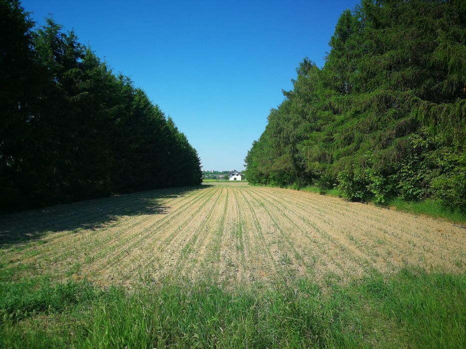 Działka budowlana 1002m² Lublin ul. Sahsów 32