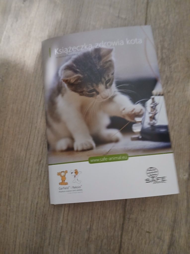 Fretka Tchórzofretka samiczka samica 9 tygodni do odbioru!