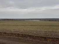 Продам ділянку в Тульчинському районі. Власник!