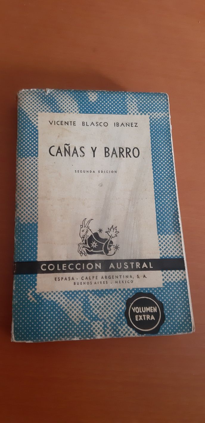 Cañas y Barro de Vicente Blasco Ibañez